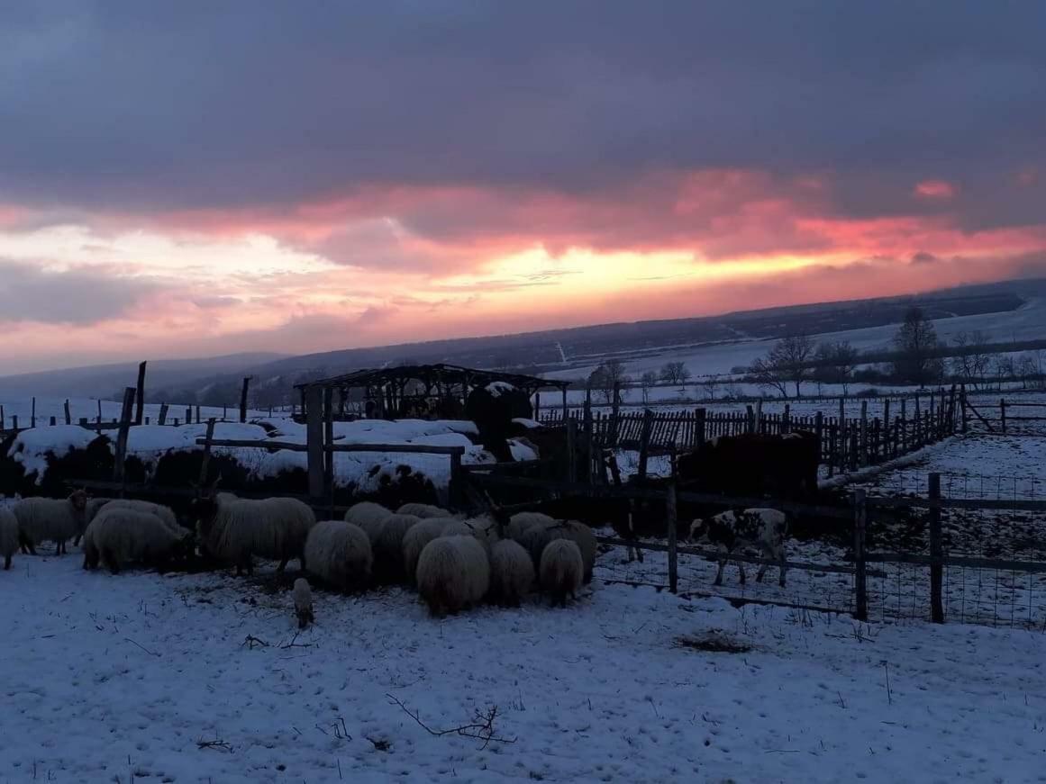 Dósa tanya, Vendégház Cserepfalu Exterior foto